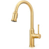 Single Handle Pull Down Sprayer Kitchen Faucet with 2 Function - Brushed Gold