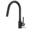 Single Handle Pull Down Sprayer Kitchen Faucet with 2 Function - Matte Black