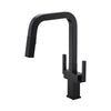Two Handles Pull Down Sprayer Kitchen Faucet with 2 Function -KSK1219 - Matte Black
