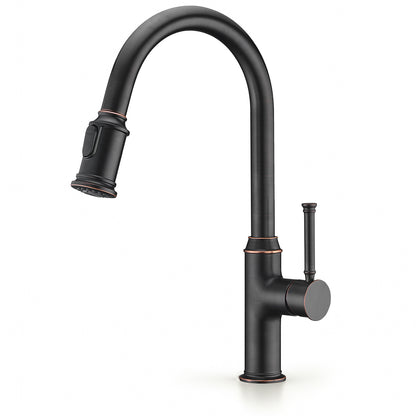 Single Handle Pull Down Sprayer Kitchen Faucet with 2 Function