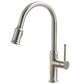 Single Handle Pull Down Sprayer Kitchen Faucet with 2 Function - Orlando Product