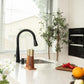 Single Handle Pull Down Sprayer Kitchen Faucet with 3 Function - Orlando Product