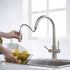 Two Handles Pull Down Sprayer Kitchen Faucet with 2 Function