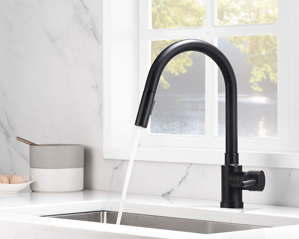 Single Handle Pull Down Sprayer Kitchen Faucet with 2 Function