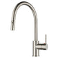 Single Handle Pull Down Sprayer Kitchen Faucet with 2 Function - Orlando Product
